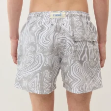 Gray print