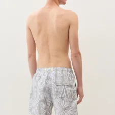 Gray print