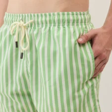 Strip pistachio