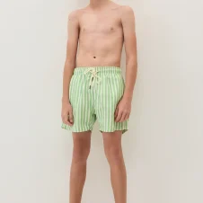 Pistachio Strip Young